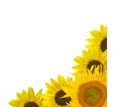 Sunflower Corner Flower Wall Sticker - TenStickers