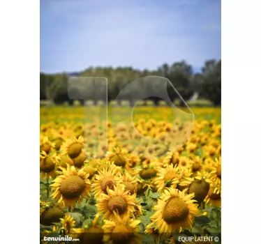 Sunflower Field Wall Mural - TenStickers