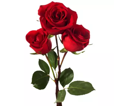 Three red roses living room flower wall sticker - TenStickers