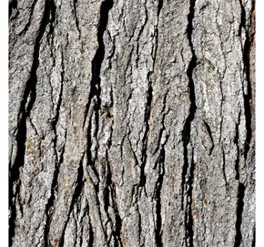 Tree Bark Texture LACK  Decal - TenStickers