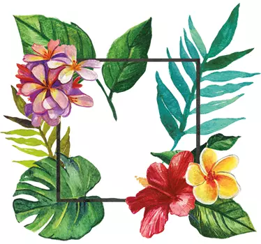 Tropical Frame Floral Decal - TenStickers