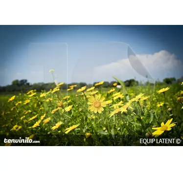 Yellow Daisies Meadow Wall Mural - TenStickers