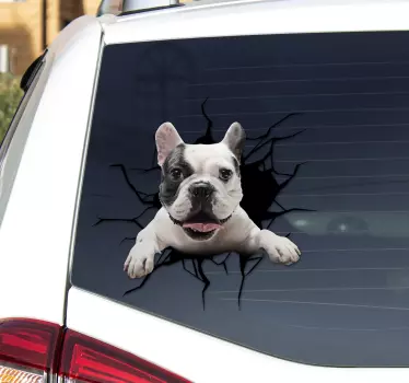 Dog peeking from broken glass window car sticker - TenStickers
