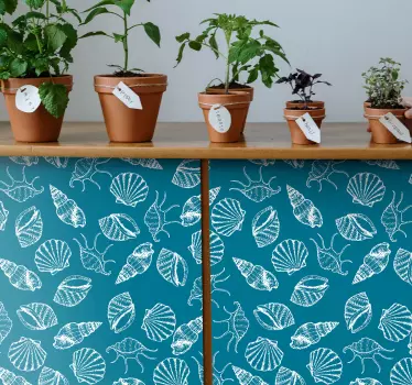 Wall sticker seashell design - TenStickers