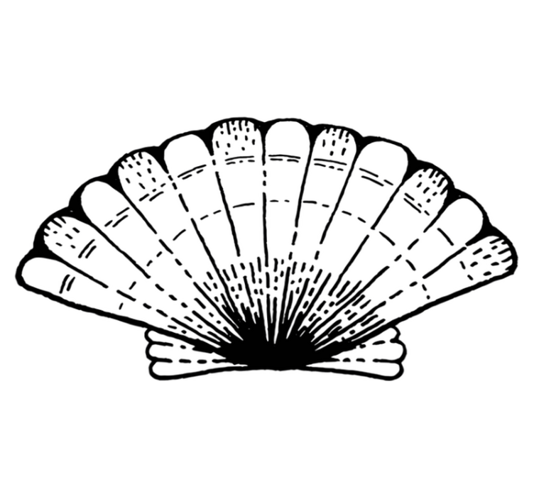 Shell patterned accent nature vinyl rug - TenStickers