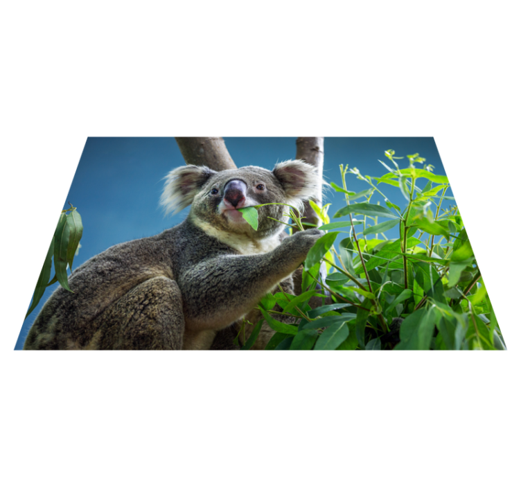 Koala in the nature animal vinyl rug - TenStickers