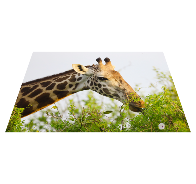 Giraffe eating greens animal vinyl rug - TenStickers