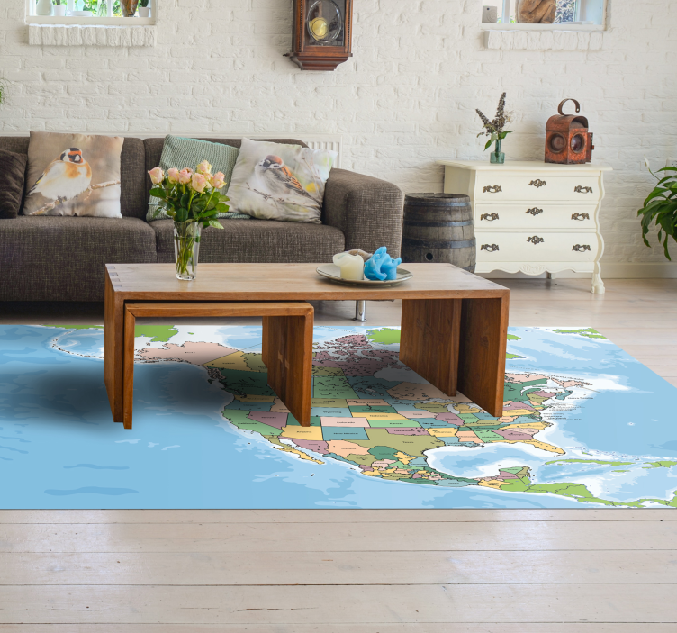 Cartographic Representation world map vinyl rug - TenStickers
