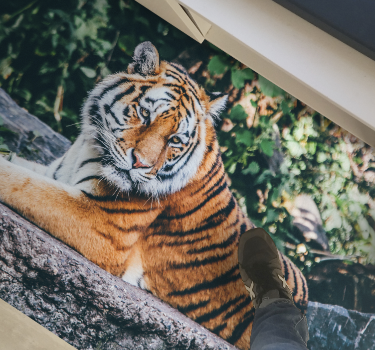 Majestic tiger lying animal vinyl rug - TenStickers