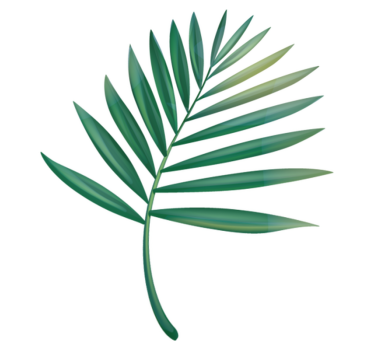 Leaf palm bathroom vinyl rug - TenStickers