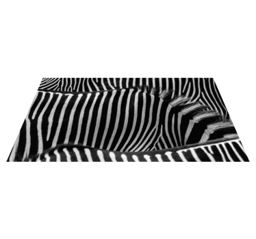 Zebra Design Animal Print Vinyl Rug - TenStickers