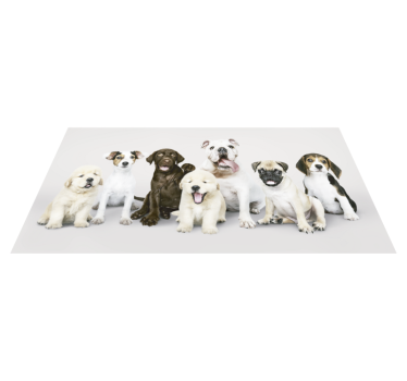 Dogs in a line animal vinyl carpet - TenStickers