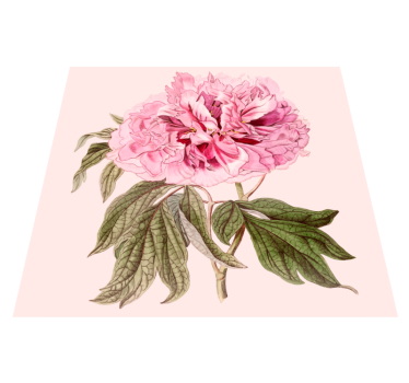 Pink Peony Blossom floral vinyl rug - TenStickers