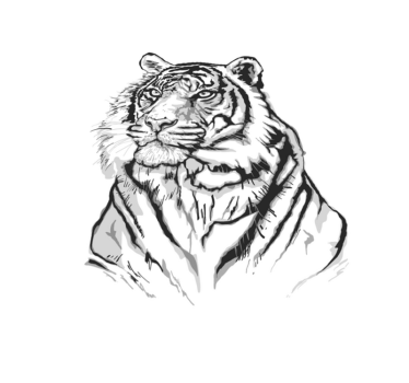 TIGER ARTISTIC PORTRAIT animal print vinyl rug - TenStickers