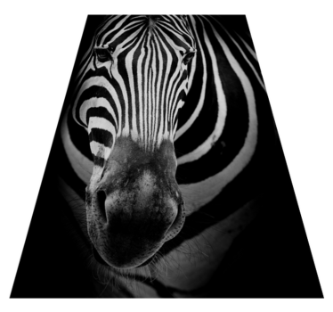 zebra stripes print animal vinyl rug - TenStickers