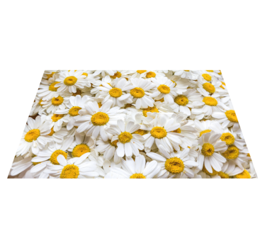 Daisy flowers image flower rug - TenStickers
