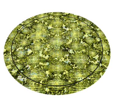 Reptile green skin animal print vinyl rug - TenStickers