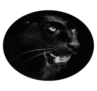 Black panther portrait animal print rugs - TenStickers