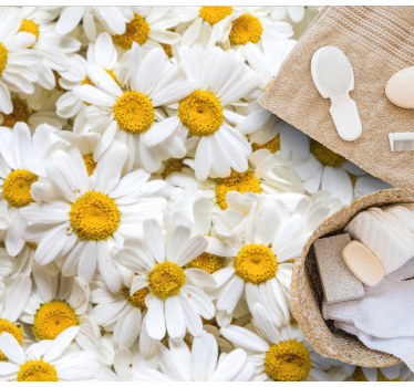 Daisy flowers image flower rug - TenStickers