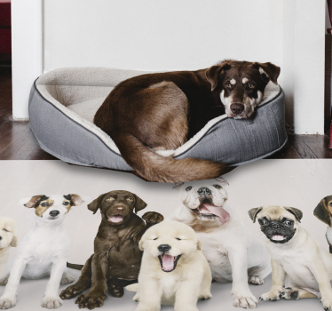 Dogs in a line animal vinyl carpet - TenStickers