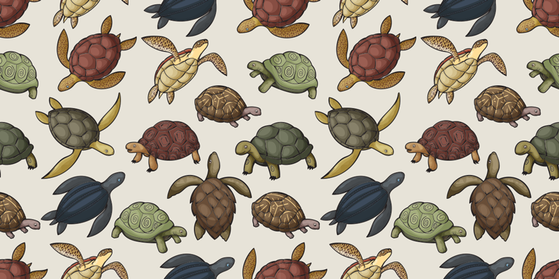 Animal vinyl rug variety of turtles - TenStickers