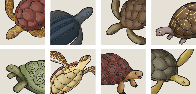 Animal vinyl rug variety of turtles tile - TenStickers