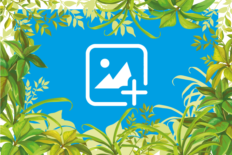 Cat among greenery animal vinyl rug - TenStickers