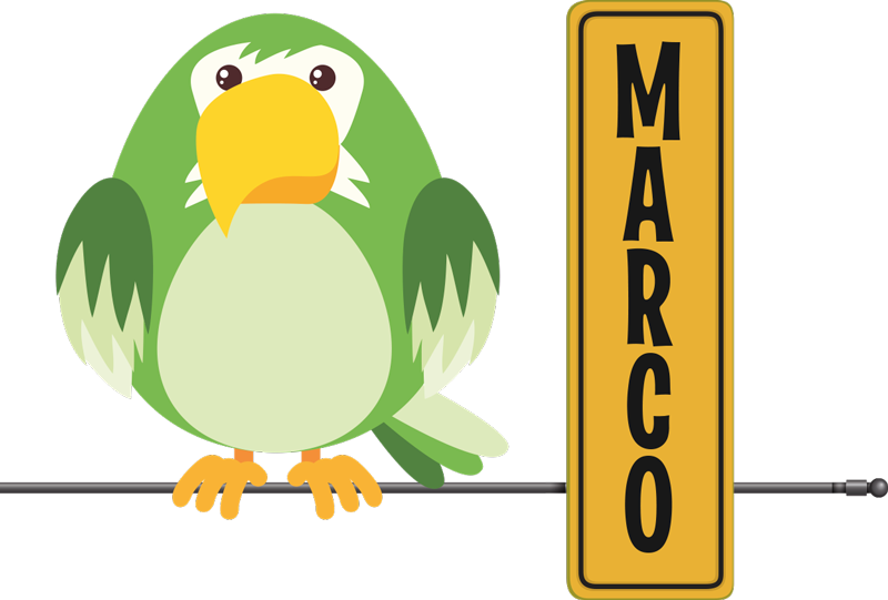Animal vinyl rug wild parrot name design - TenStickers