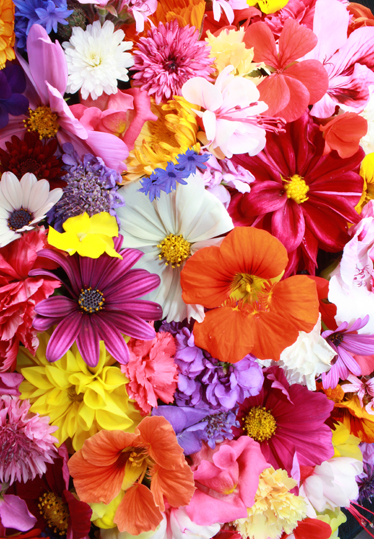 Plenty of colorful flowers floral vinyl rug - TenStickers