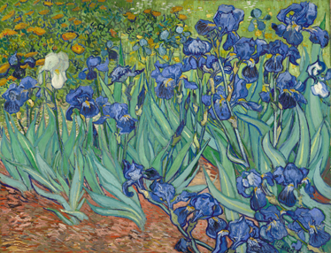 Floral vinyl rug with van gogh flowers design - TenStickers
