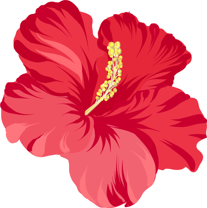 Floral vinyl rug red hibiscus flower set - TenStickers
