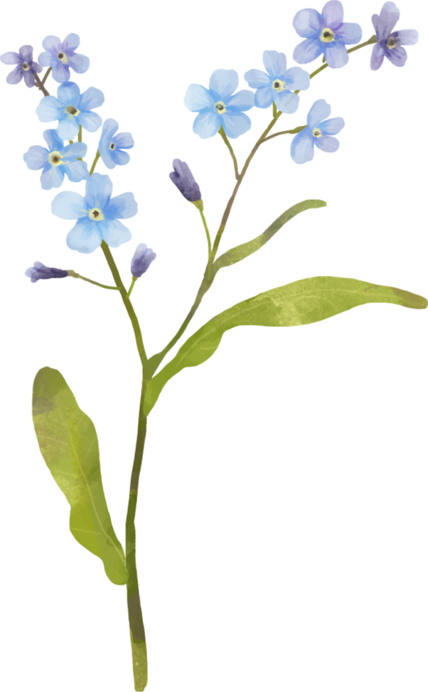 Floral vinyl rug with graceful blue plant design - TenStickers