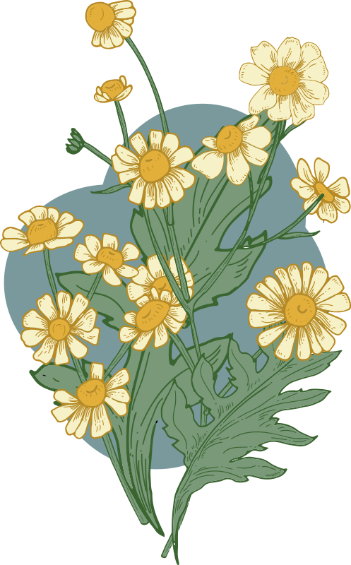 Vivid bloom composition floral vinyl rug - TenStickers