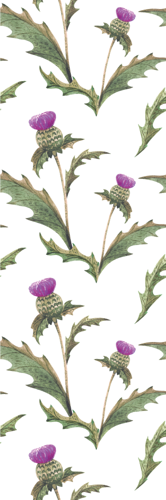 Scottish thistles bedroom vinyl rug - TenStickers
