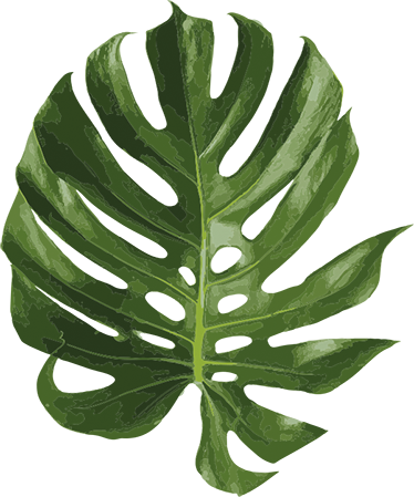 Floral vinyl rug with delicious monstera leaf design - TenStickers