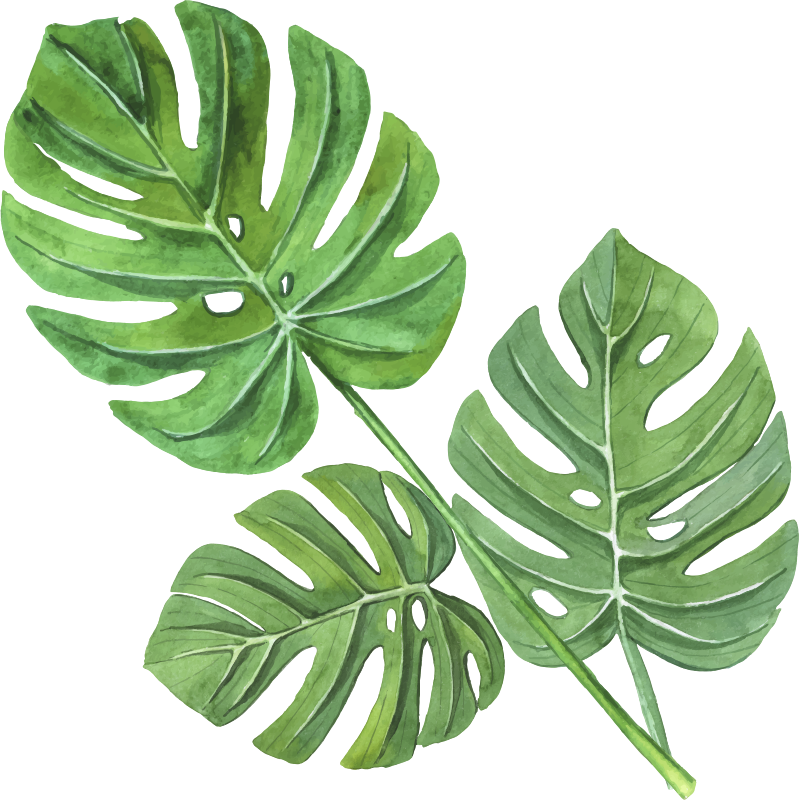 Floral vinyl rug with monstera watercolor leaves - TenStickers