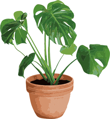 Floral vinyl rug with simple monstera pot design - TenStickers