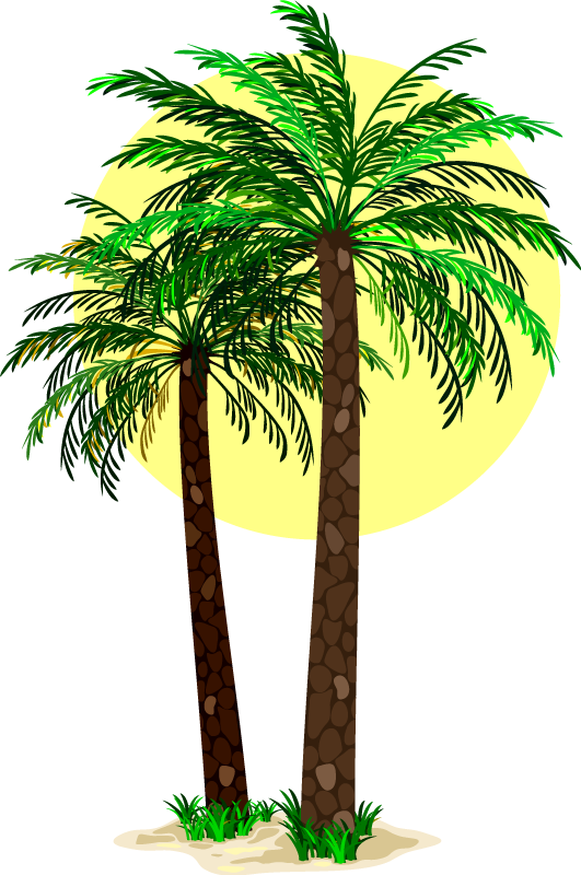 Floral vinyl rug tropical palm trees design - TenStickers