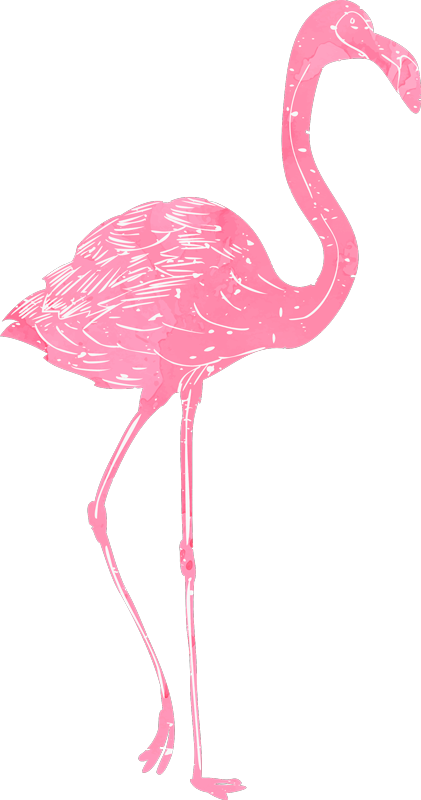 Bedroom vinyl rug watercolor flamenco - TenStickers