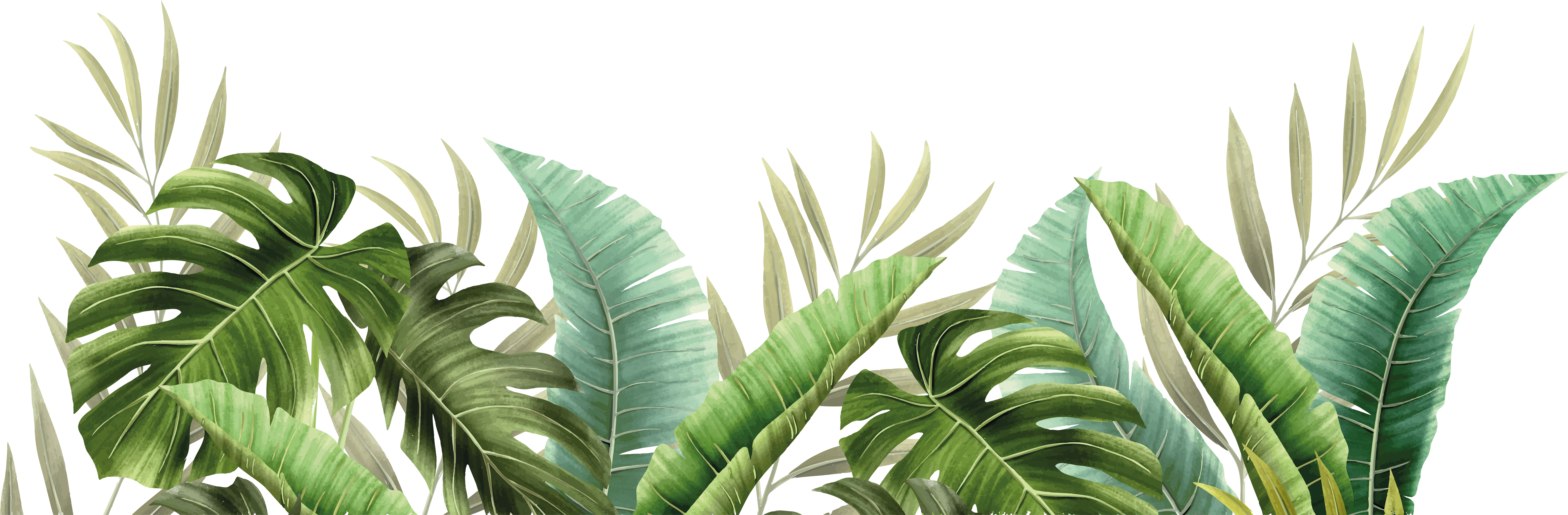 Tropical plants bathroom vinyl rug - TenStickers