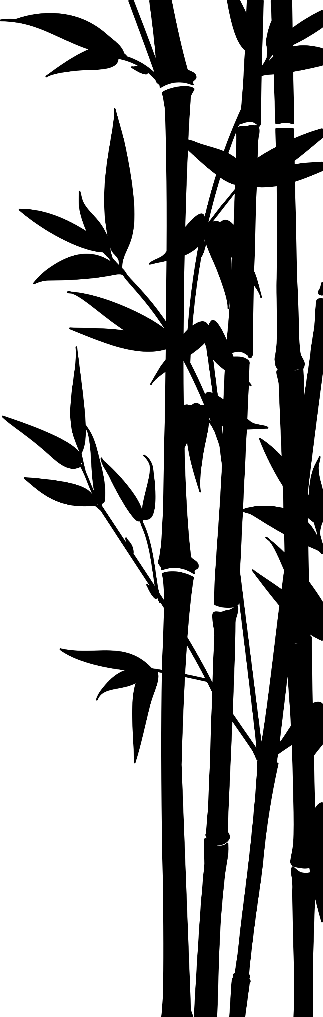 Bathroom vinyl rug bamboo shower screen decal - TenStickers