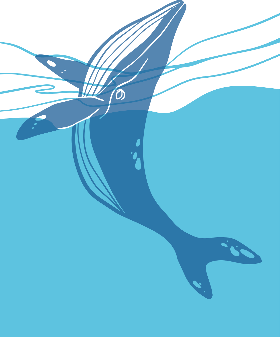 Bathroom vinyl rug with whale shower screen decals - TenStickers