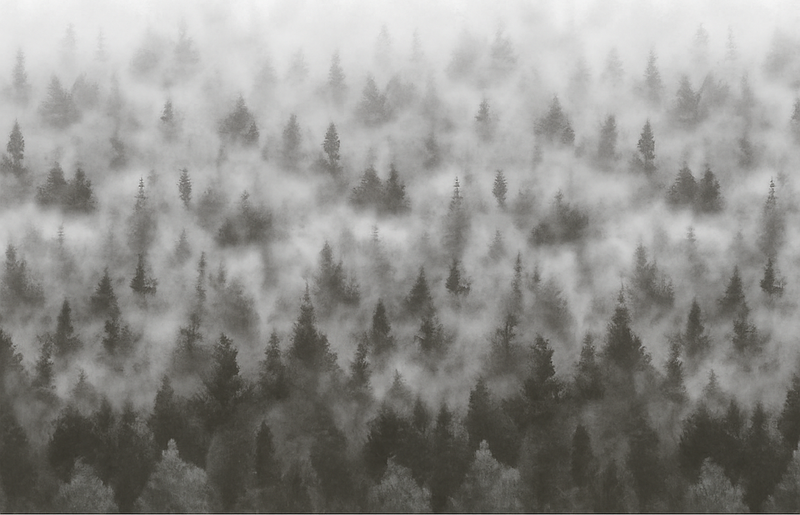 Bedroom vinyl rug 3d foggy mysterious mountain - TenStickers