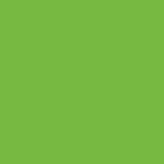 Bedroom vinyl rug green cover for wardrobe - TenStickers