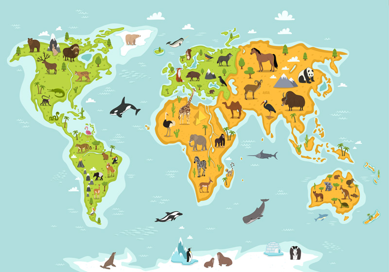 World map vinyl rug children's world map fauna flora - TenStickers