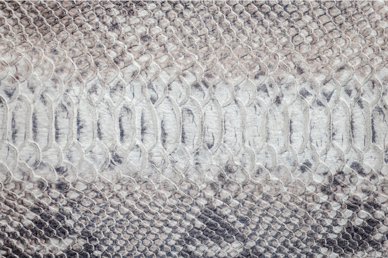 Grey vinyl rug in grey snake print pattern - TenStickers