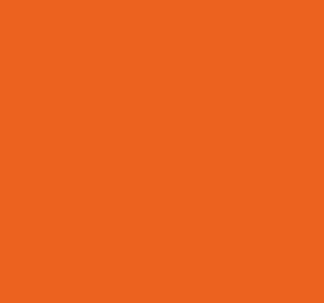 Citrus orange orange vinyl rug - TenStickers