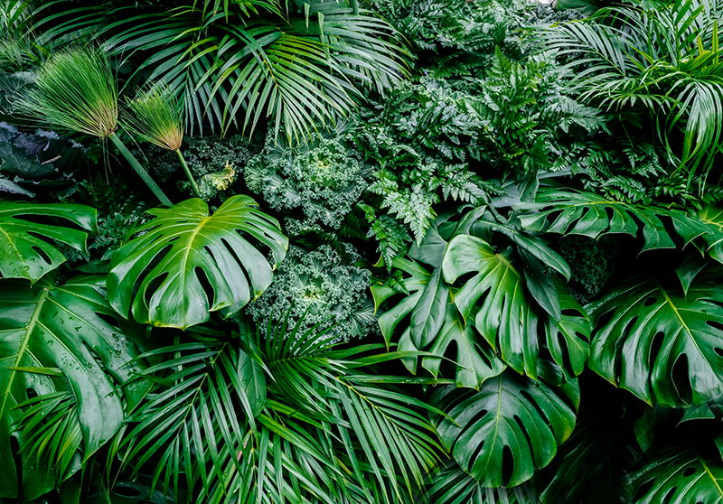 Green vinyl rug in a sunny jungle design - TenStickers