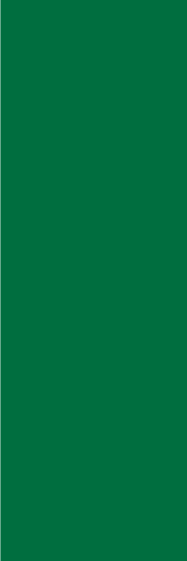 Green vinyl rug in verde vinyl rug - TenStickers
