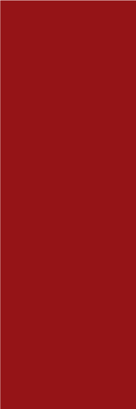 Red vinyl rug in vibrant crimson color - TenStickers